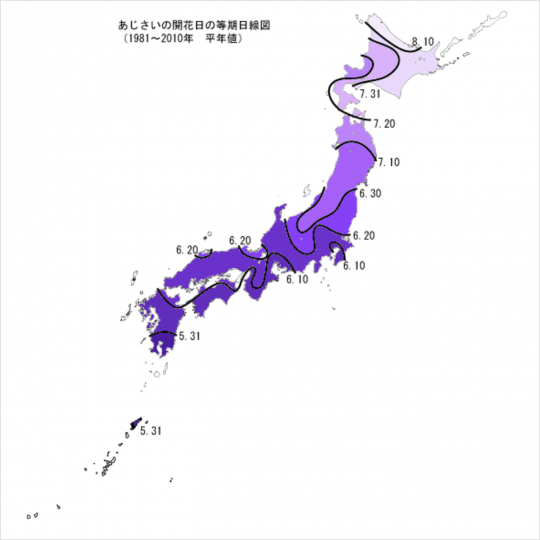 あじさいの見頃はいつ 株式会社 気象サービス