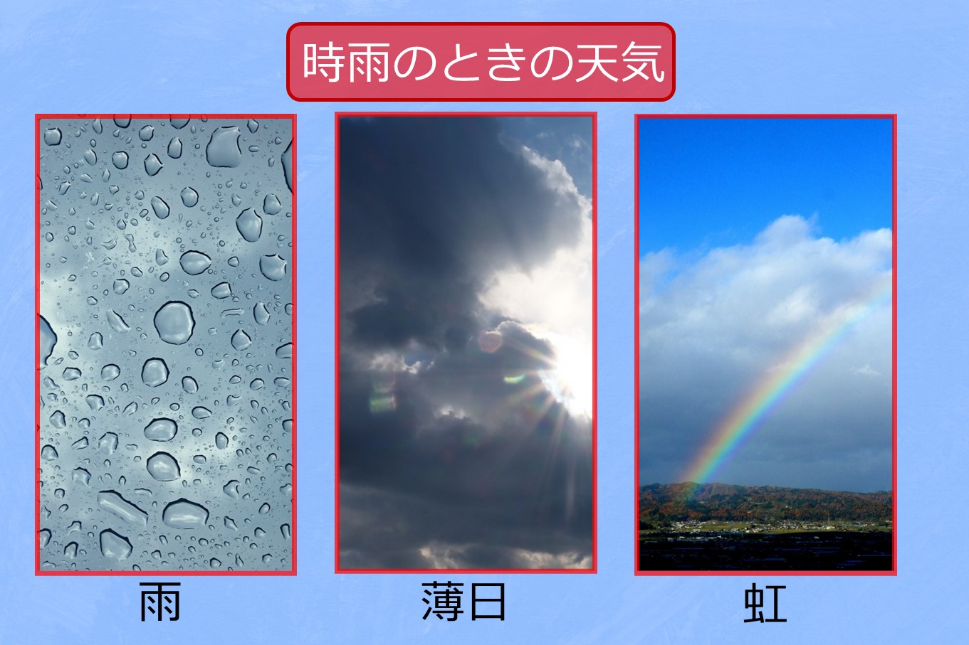 秋から冬への冷たい雨～時雨の色々～ - 株式会社 気象サービス