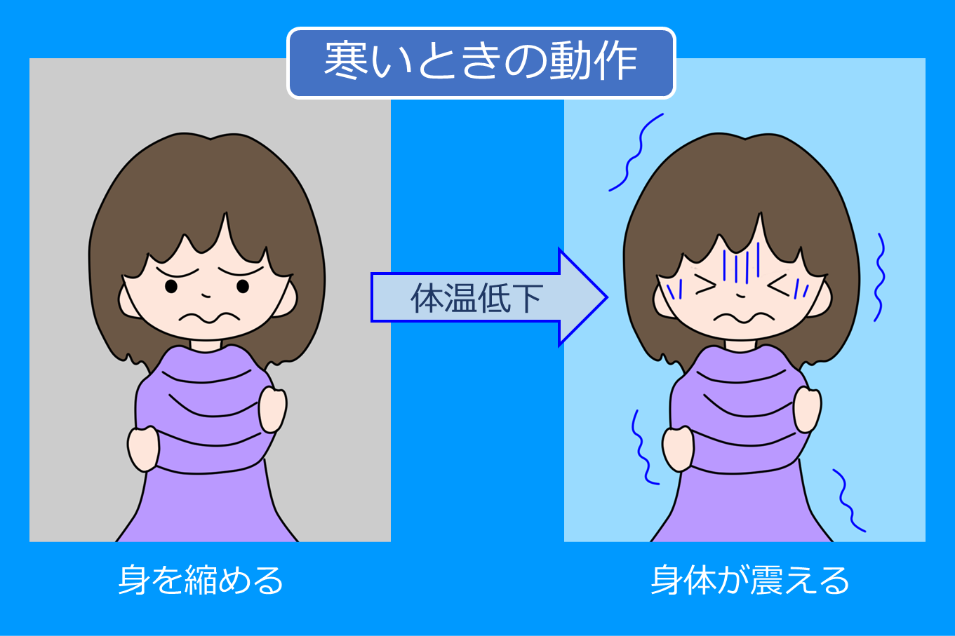寒いときの動作~人間の体の仕組み~ - 株式会社 気象サービス