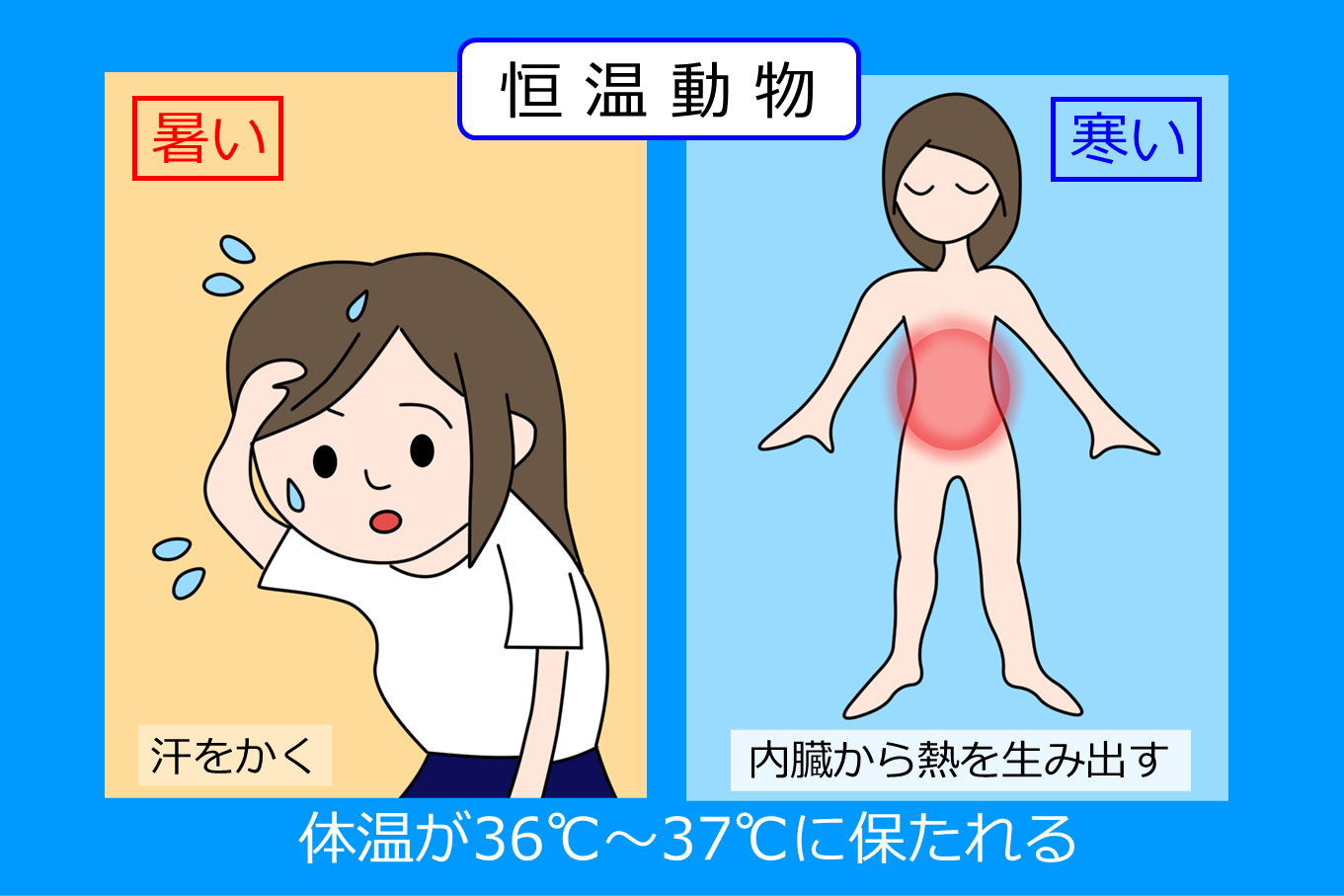 寒いときの動作~人間の体の仕組み~ - 株式会社 気象サービス